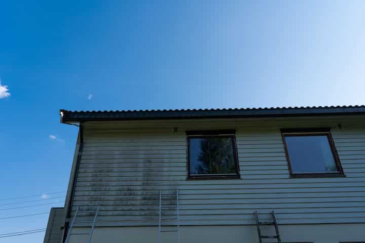 exterior mold removal Sherman Oaks